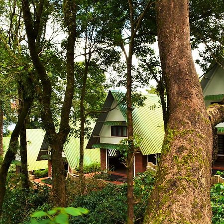 Misty Woods Resort Kakkabe Екстер'єр фото