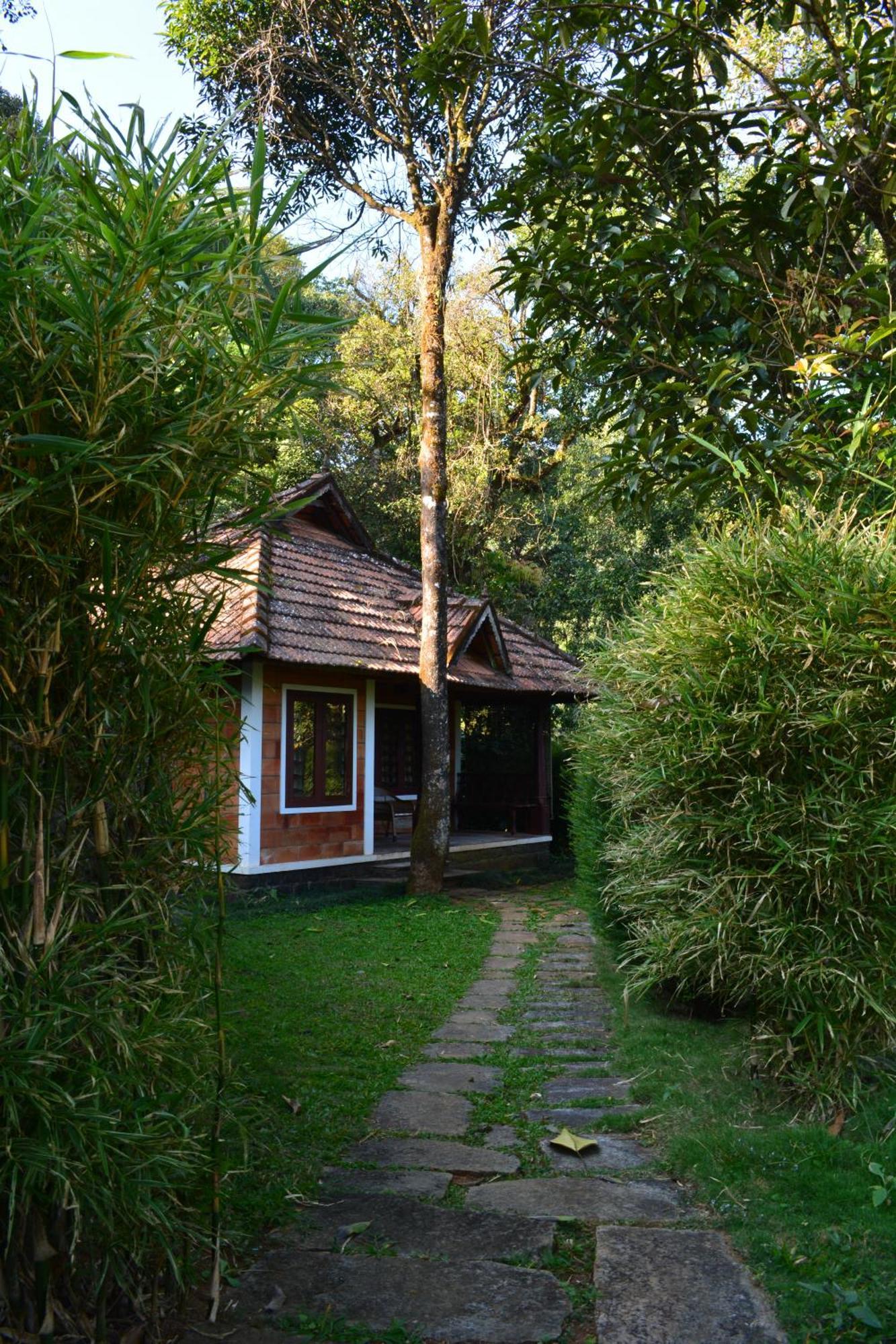 Misty Woods Resort Kakkabe Номер фото