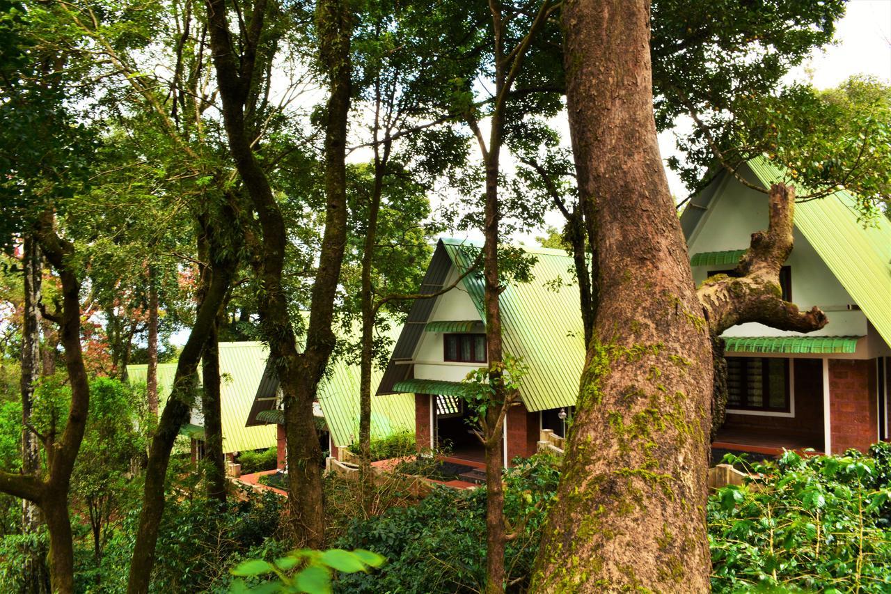 Misty Woods Resort Kakkabe Екстер'єр фото